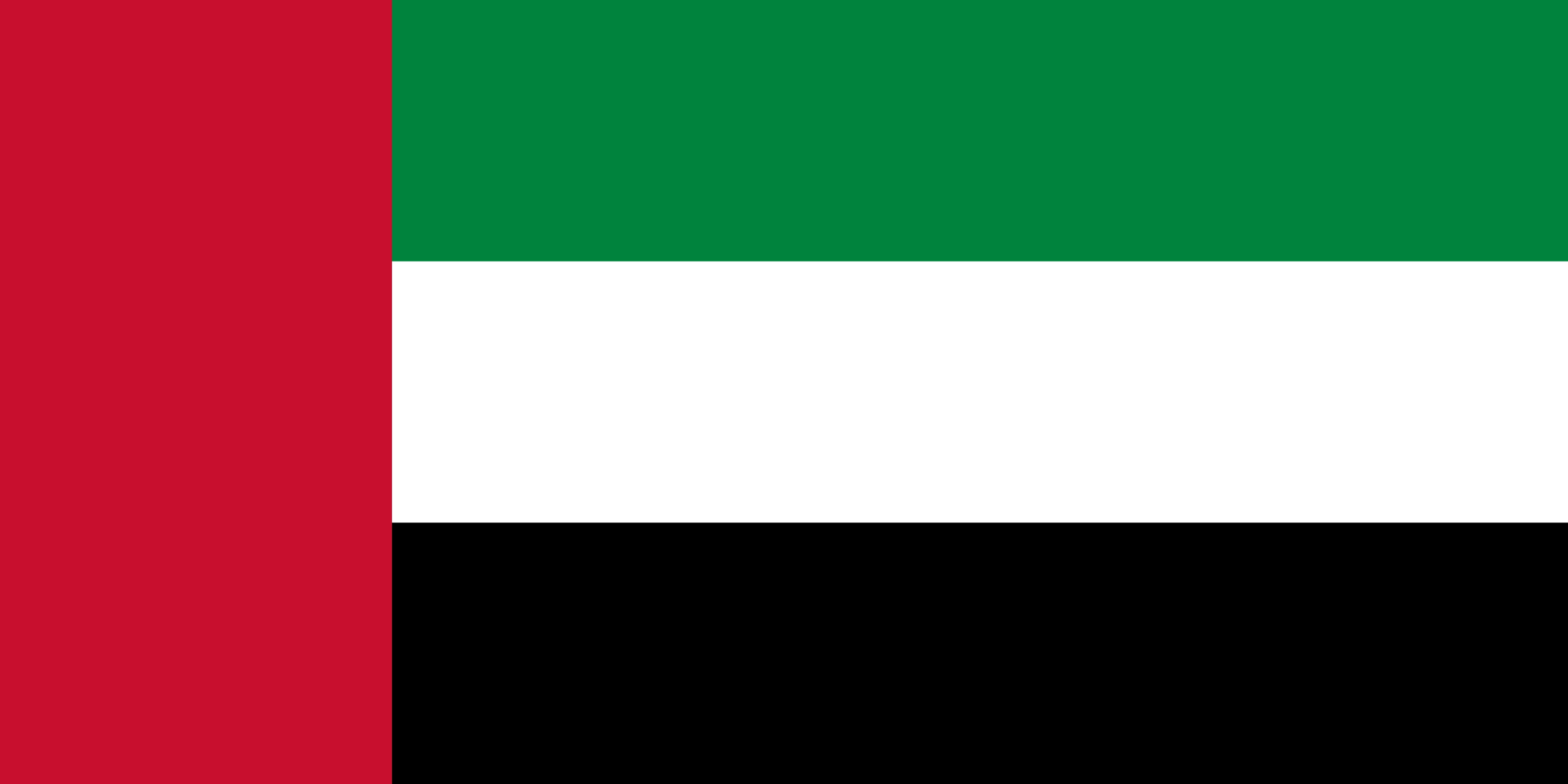 Flag of the united arab emirates